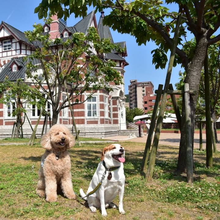 6fd718c5 9b65 4040 aa6c a25101656056