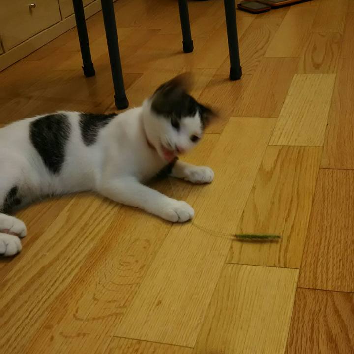 6fd76770 4dbb 4b0f ad9a c8d483e7309c