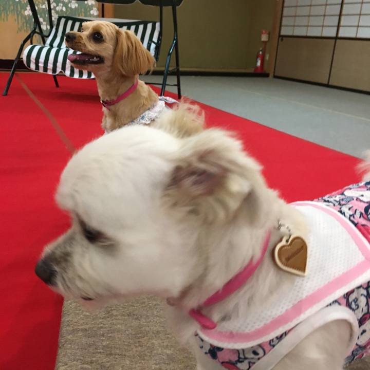 6fd7e0ac 4685 4b8e 8c1b 247b1af4098c