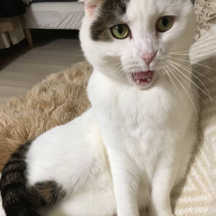 6fd7f143 1317 462c 9c8d 0f4175aa34d8