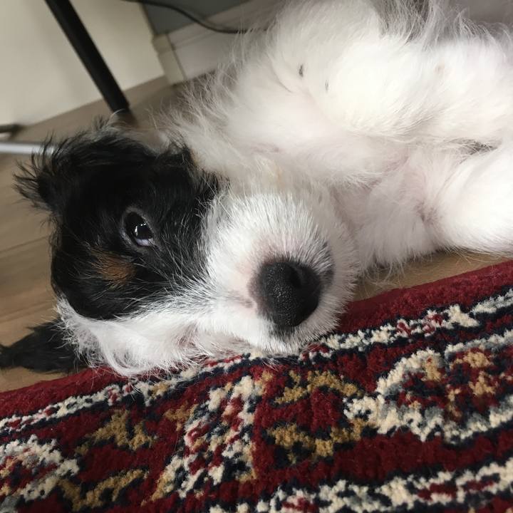 6fd8e68f 4c52 46fa a624 d95d9728d935