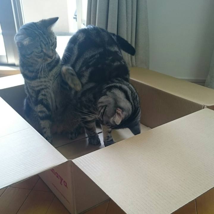 6fd92f4b 1160 4f7c 95ca 3c2f5c112b9d