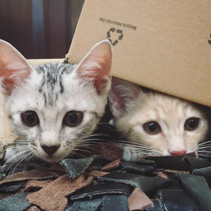 6fd94002 1e51 4834 bb56 30bbab376692