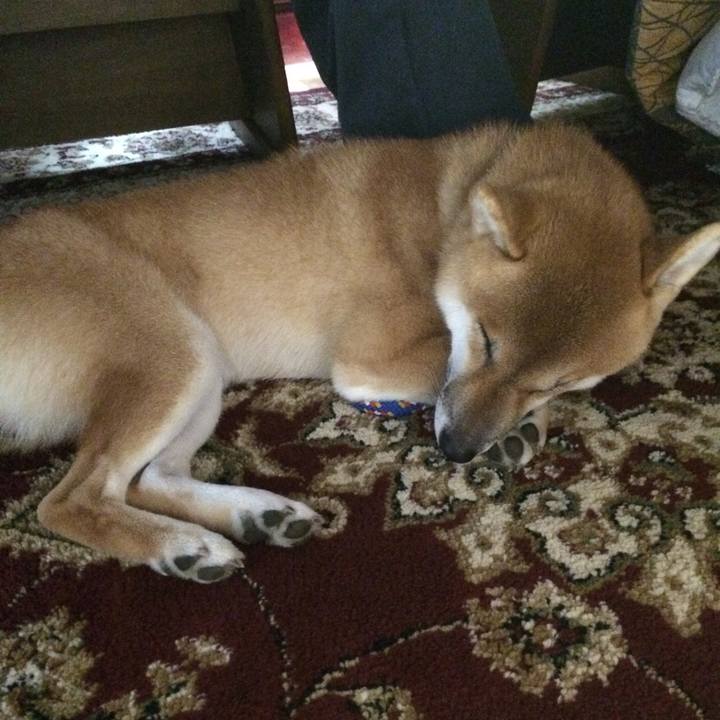 6fd98964 93aa 4408 ac14 a097e287fc85