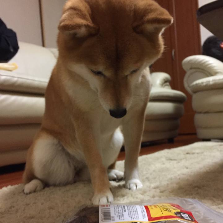 6fd9f553 58b6 4803 9e44 7394c083852d