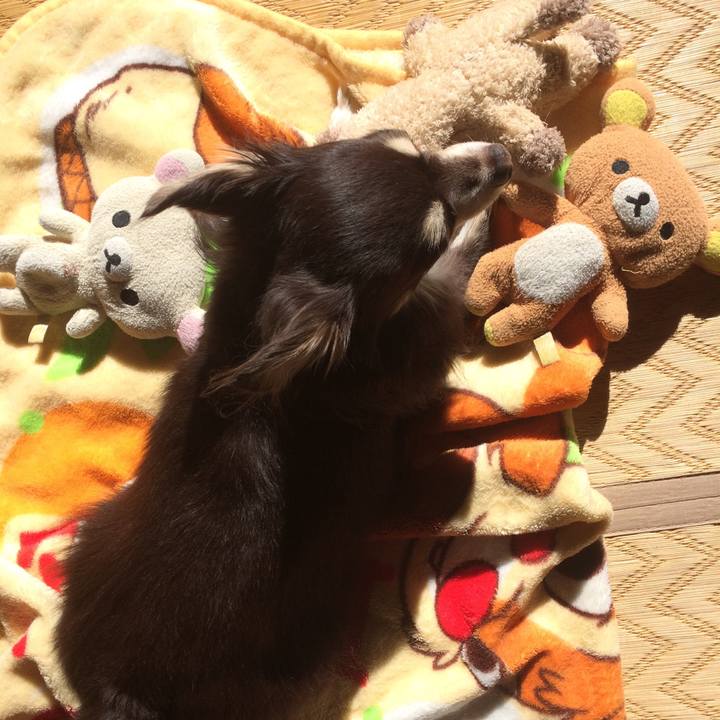 6fda2577 36ac 4db8 a94b 9262f6f97eb0