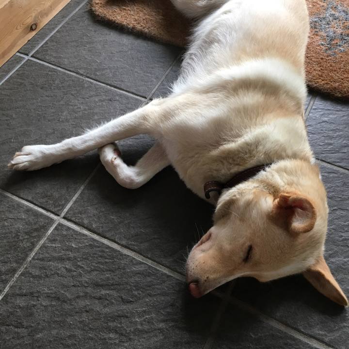 6fdac0ce 6b7d 477e 9dcc 744ce0ba315e