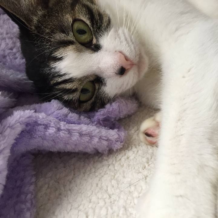 6fdad920 f6b2 458a ac59 218c976c1e8f