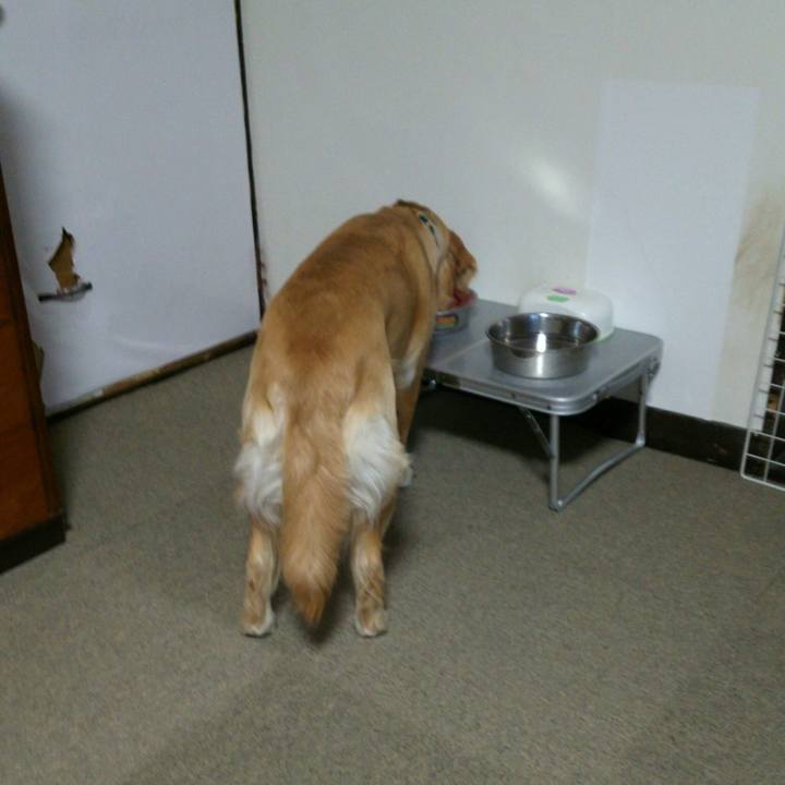 6fdc767f 70ca 4aa1 a6f8 7fe69aa69e1a