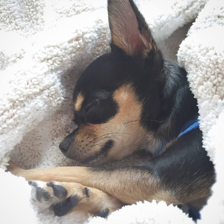 6fdc78ba c717 4c1f aef7 3a626d99dfec