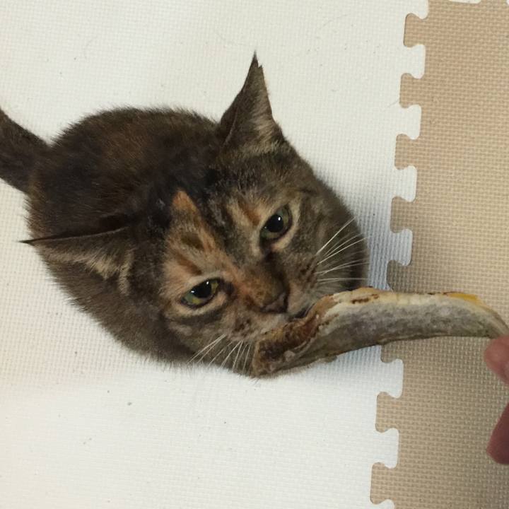 6fdce88d 69bf 4012 934b 29691f992395