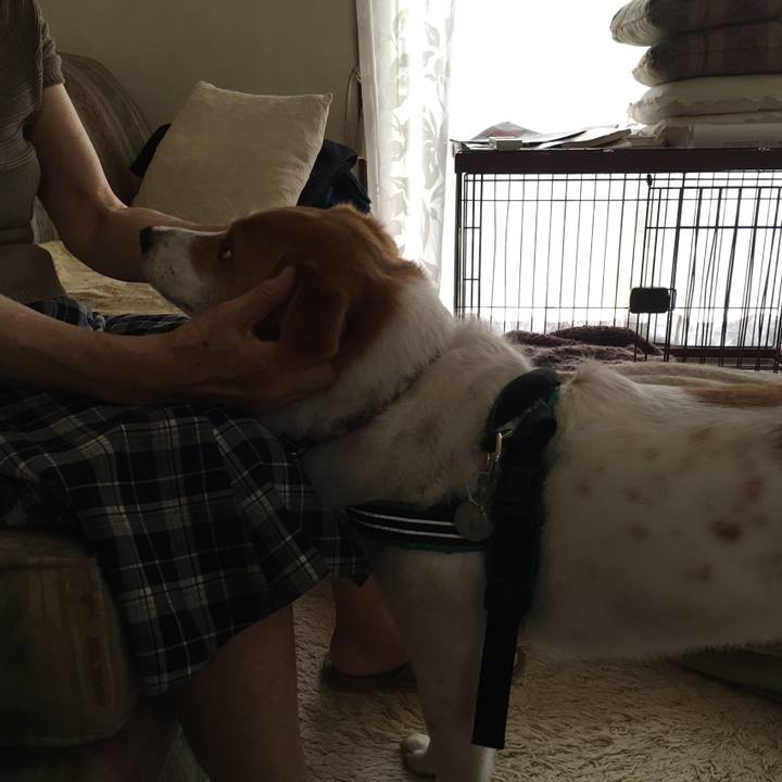 6fdd6618 e4e5 463d 823d 55c0f6f9c90b