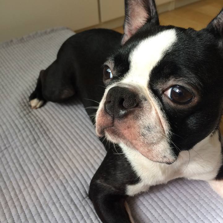 6fde7409 cebc 41f6 8229 4ade2870282c