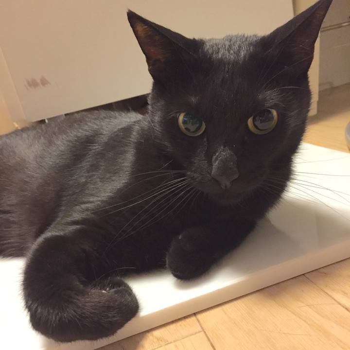 6fdeacfd 591b 457a a563 f5d69d3a317f