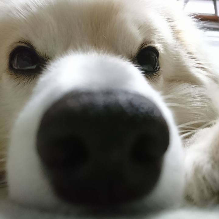 6fdf281e 63c7 42b4 8df7 be7794a51375