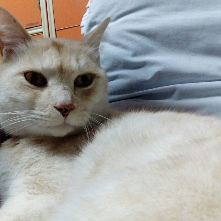 6fdf92af 901e 4686 b108 81d51f6ee0a8