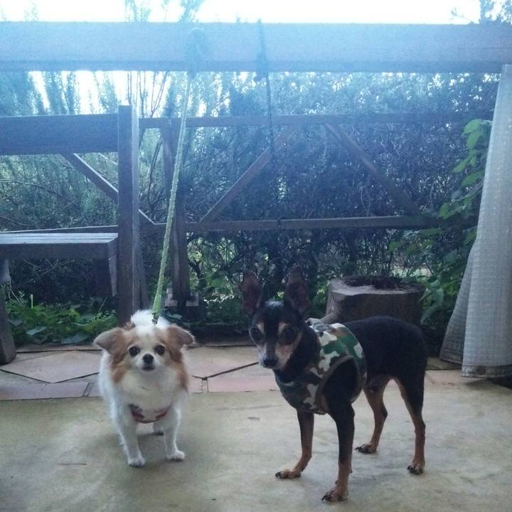 6fe0048c 50c4 44c3 bbcf 719a724e8470