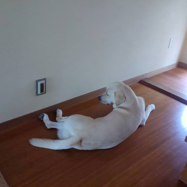 6fe030bf 259a 4354 80da 81bbec2ae21d