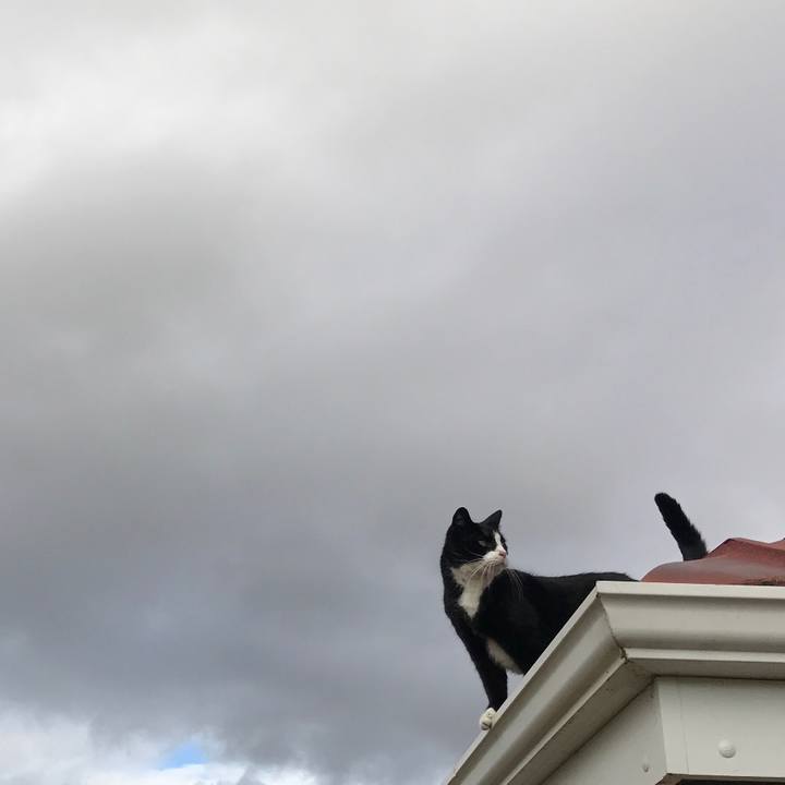 6fe0ab04 c703 4306 be09 d7309de1515b