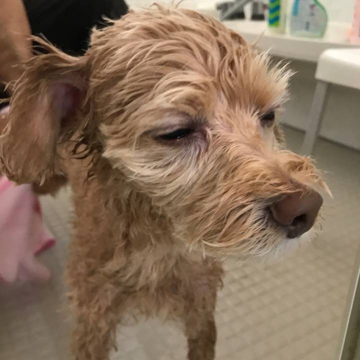 6fe0b2ce 698e 42db 9996 422cf2a99bf0