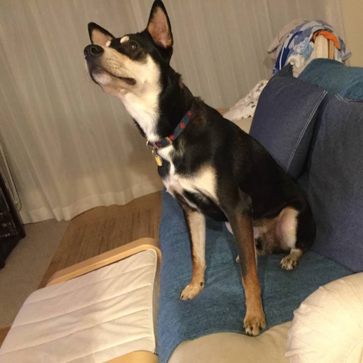 6fe0c9b3 f8b5 478a bcf5 4db4736e4e1b