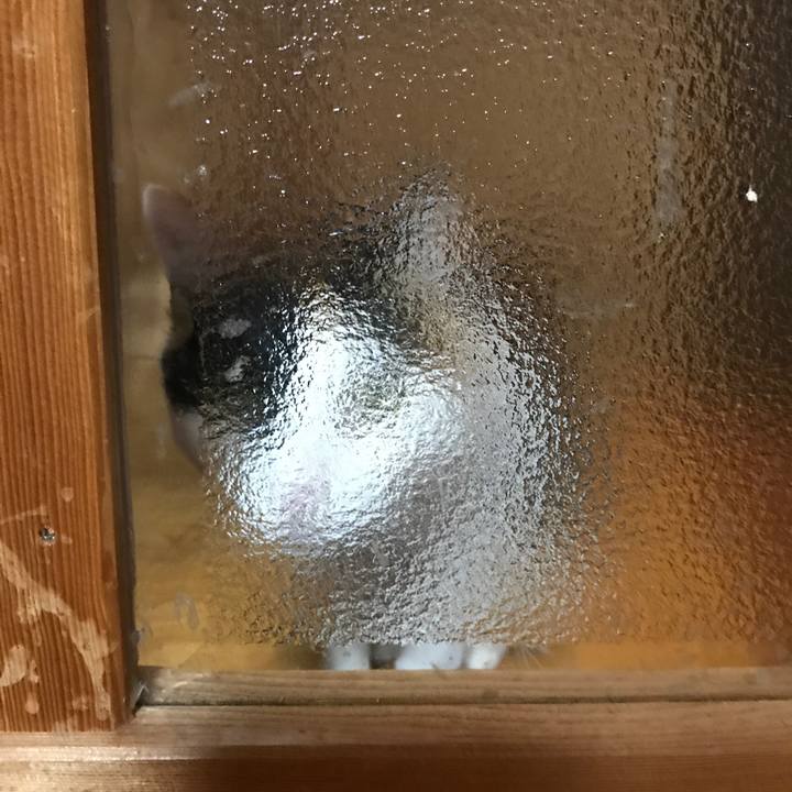 6fe0d3c1 23ba 43d4 9aa9 78f01468637a