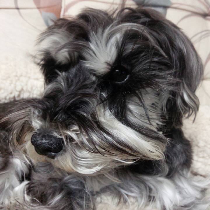 6fe1697f 0db4 4914 9702 533c7770137d