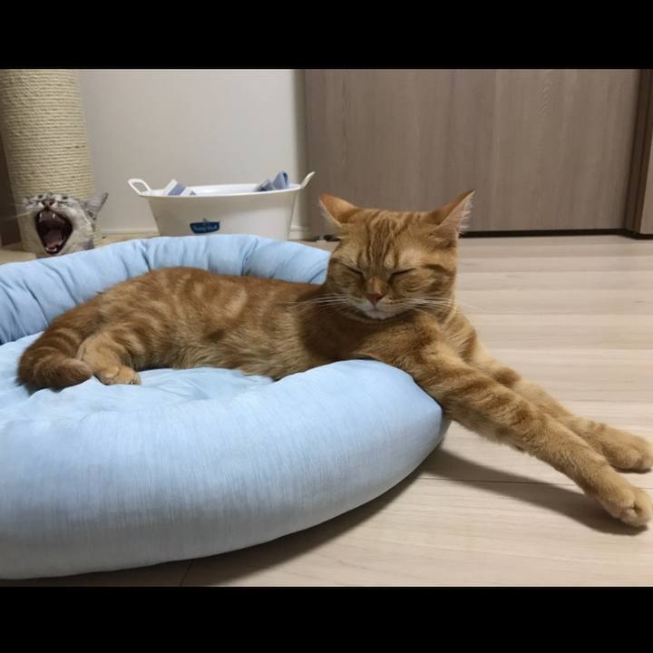 6fe17559 1c4a 4d25 8fc5 b5ecc5a88a44