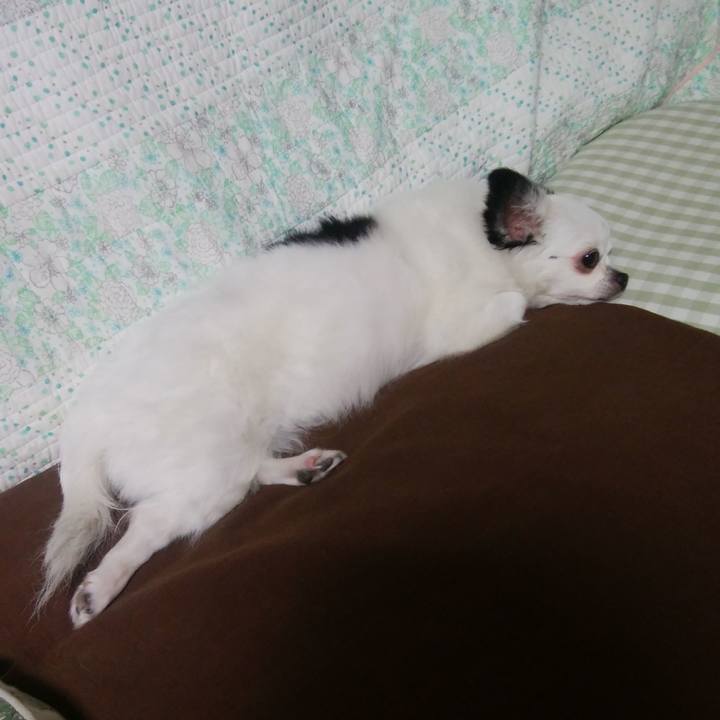 6fe38b53 db31 4a0c 880b 0a9b7c8d6009