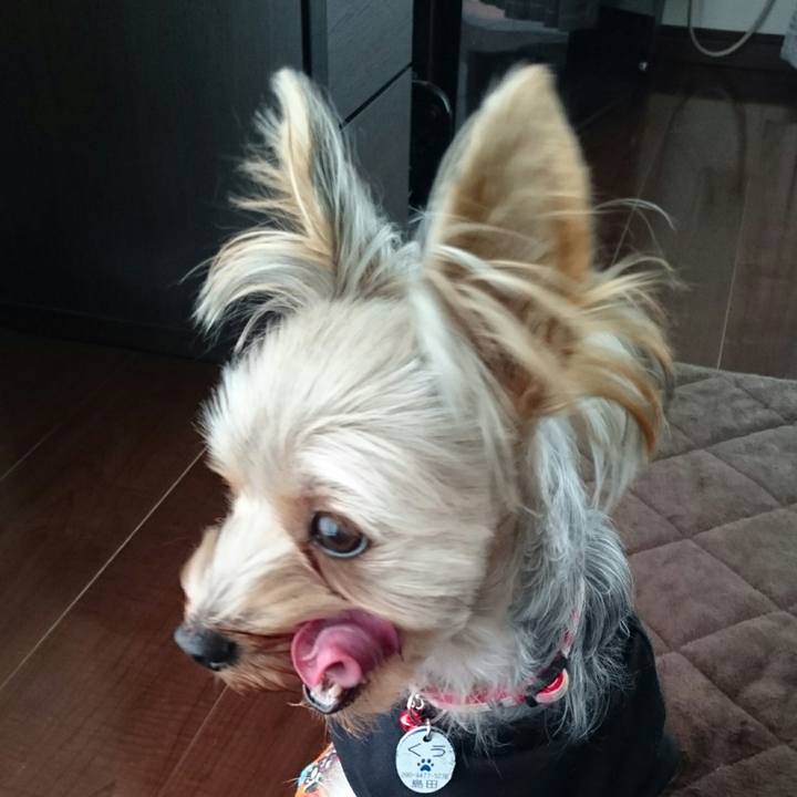 6fe39bc3 58b9 47e2 8cc4 2b66611fdd9b