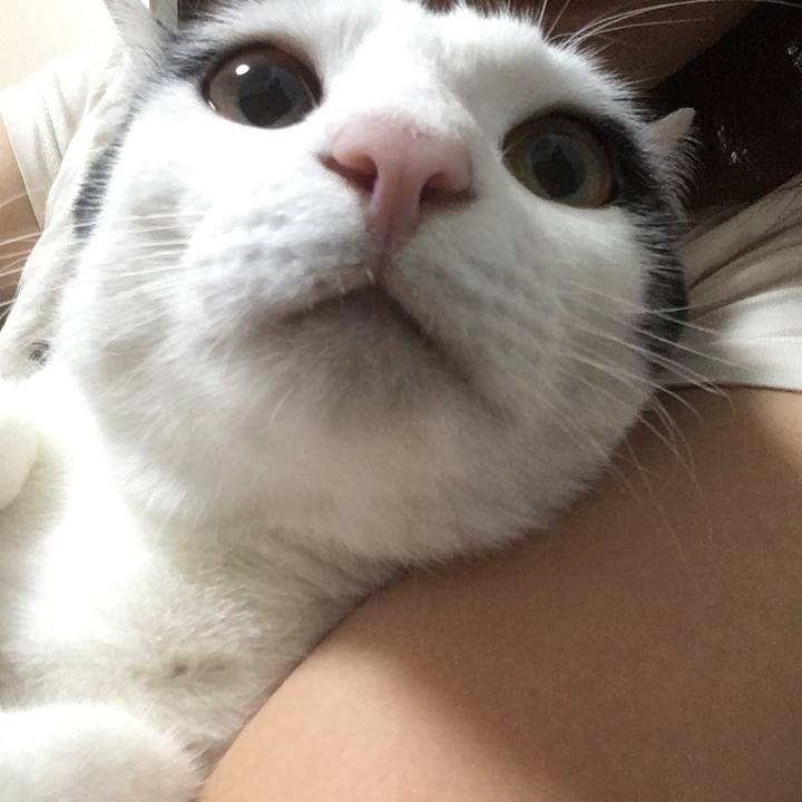 6fe4425d 0839 42ba 8589 0c752822095e