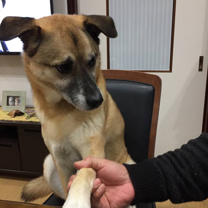 6fe66ebf 5fe6 4160 9947 d457341e0ad8