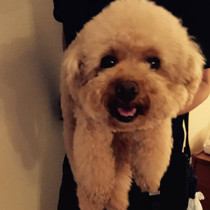 6fe6e21e cbe0 4176 8968 328b1c28e96c