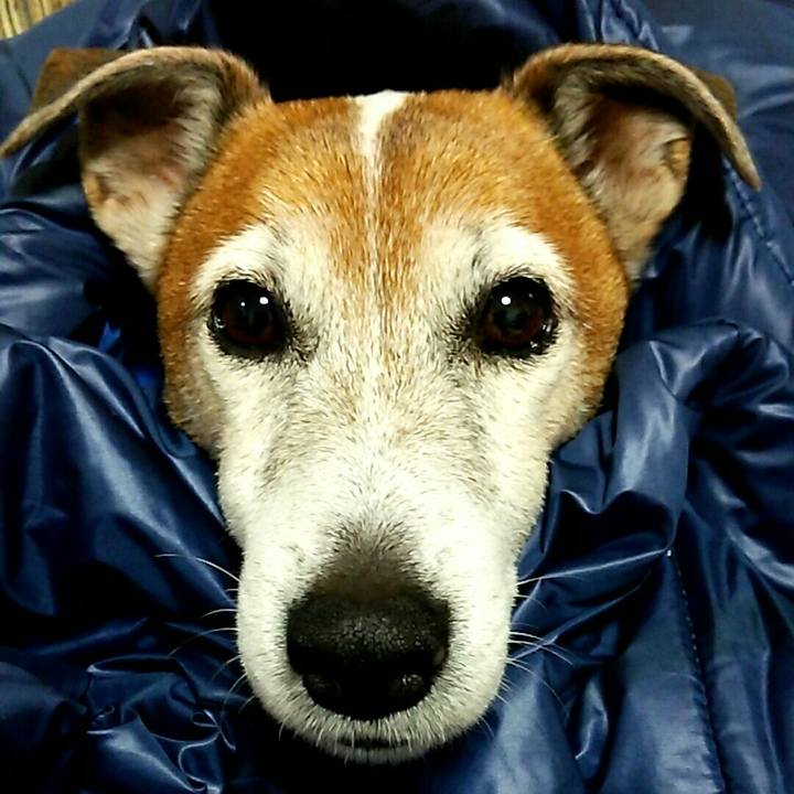 6fe72be5 ffb1 42cb 9ffd 3b5b762eb550