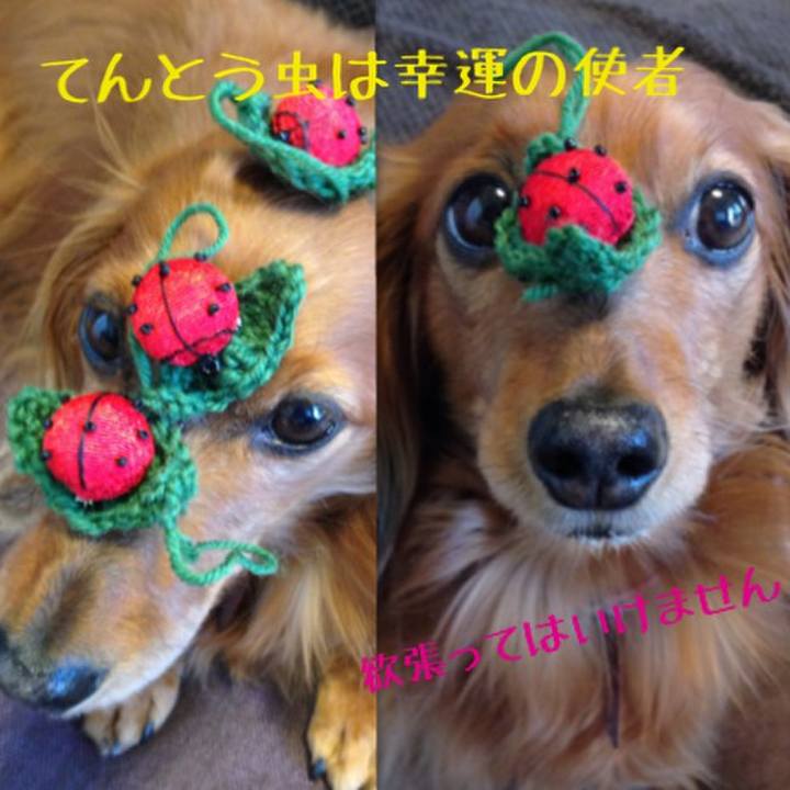 6fe88cc9 0090 4038 a637 a52dea3f8d23