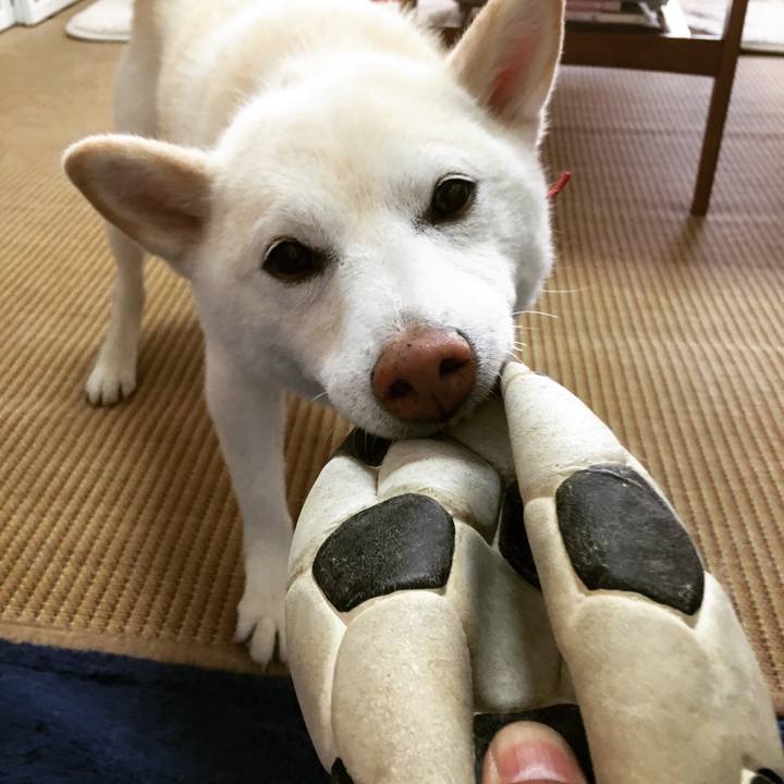 6fe8b762 8c36 4657 a8ac aa21e055f373