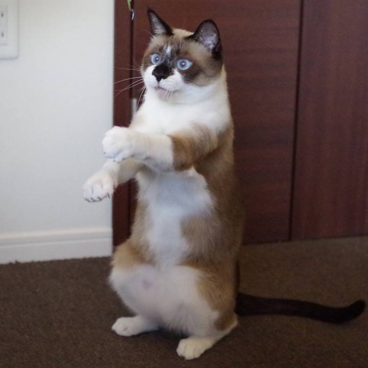 6fe9cb2a 4379 449e a922 11fb3c3370d0