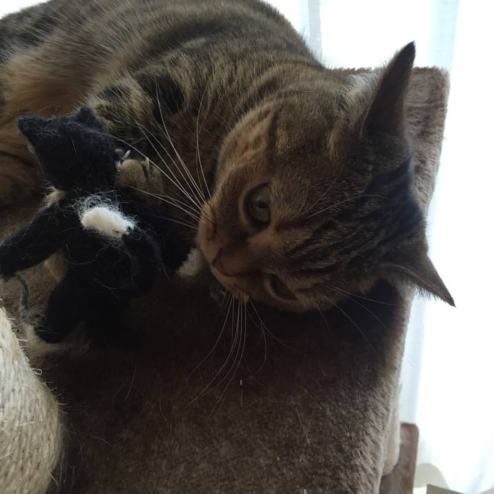 6fe9e066 50fb 4fd4 8cfc 0904436d6653