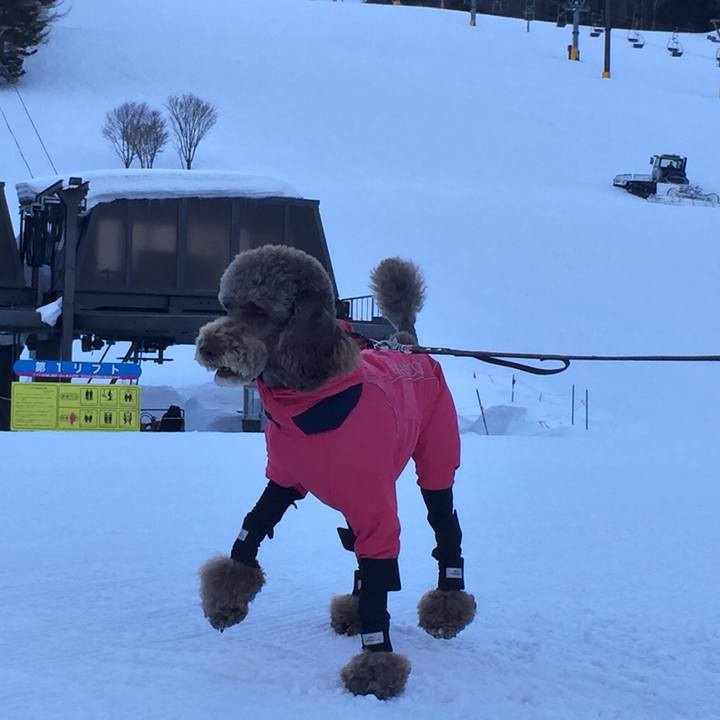 6fe9e3d2 2b99 4c76 ab07 5808a719ca75