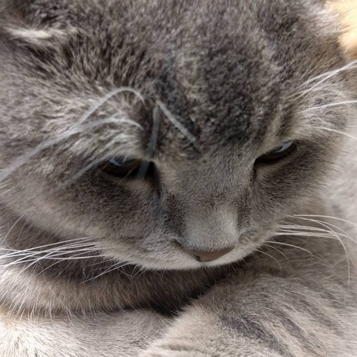 6feac606 f61e 461f a15c e9e2d4453275