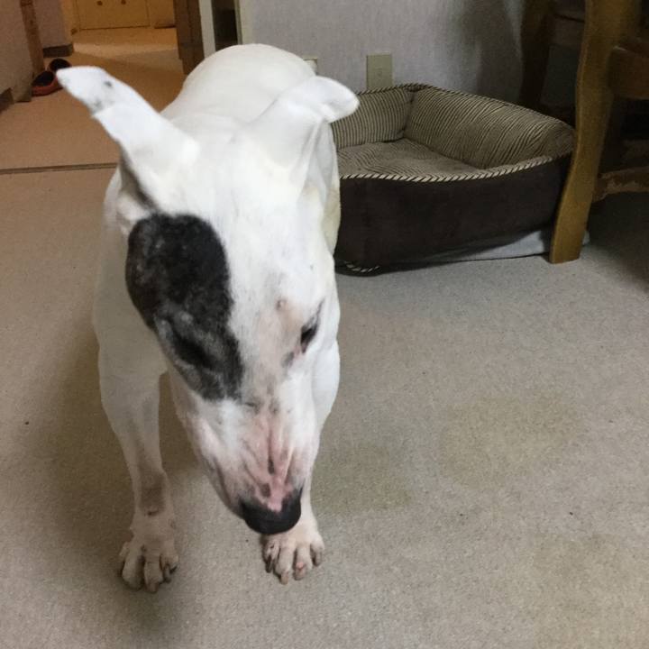 6feacc4f 1d8f 44dd 98ac 84f1bb6ae437