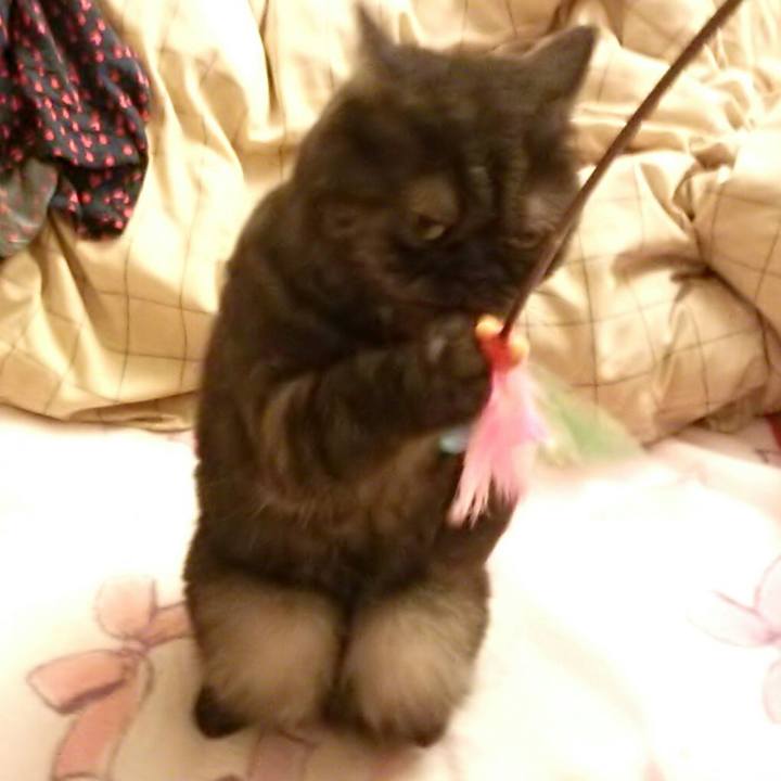 6feae2a7 fc58 458b a0fa 979bfda4df67