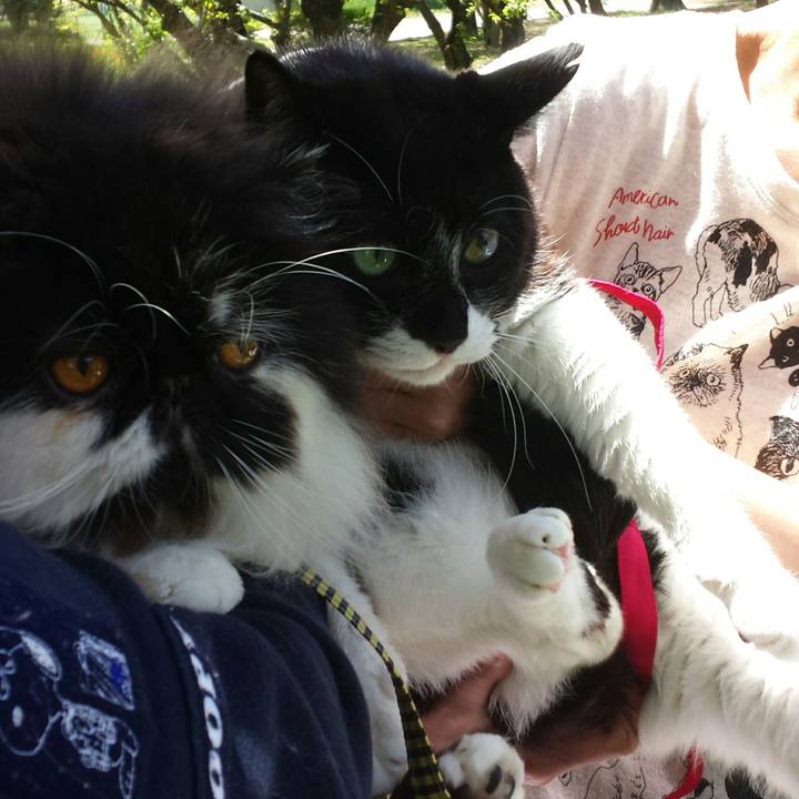 6feb441f 2f8c 48bb ad81 93e87731c724