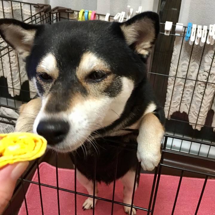 6febf3b0 6682 401b 926e f0bc4132fe07