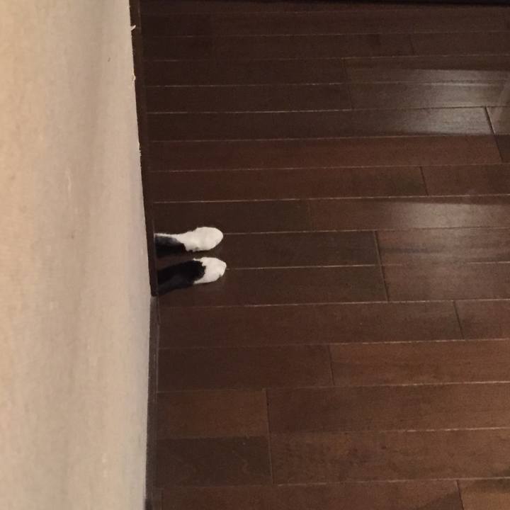 6fec3011 e512 440e b653 e627b07fdc77