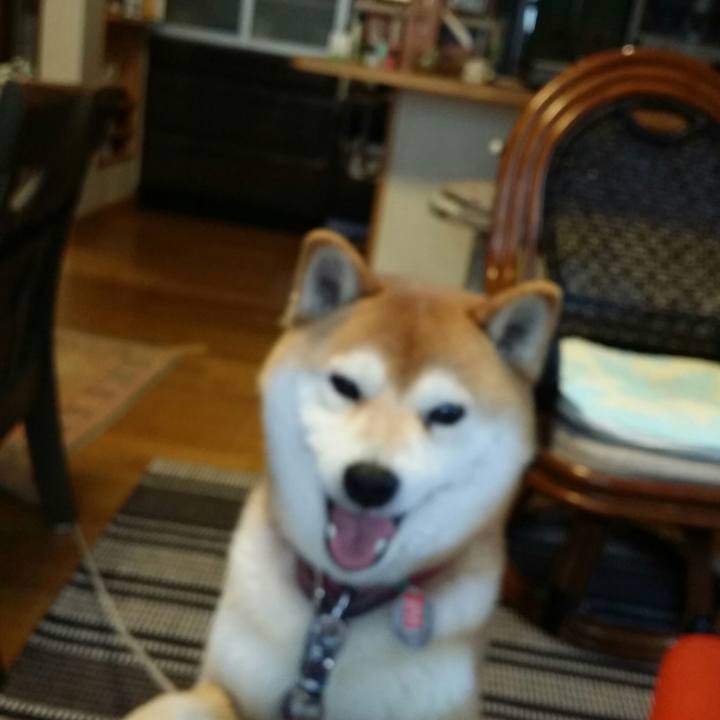 6fec34b8 e3ef 4987 9f60 2ae81da041a8