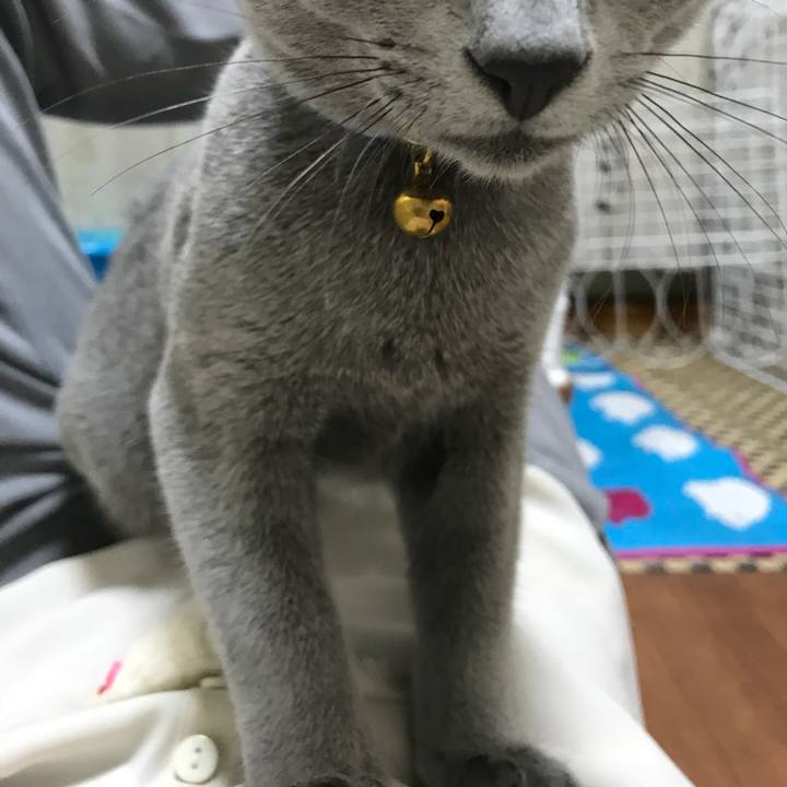 6fec370a 0e9c 44a5 9bdf 23ce871a7318