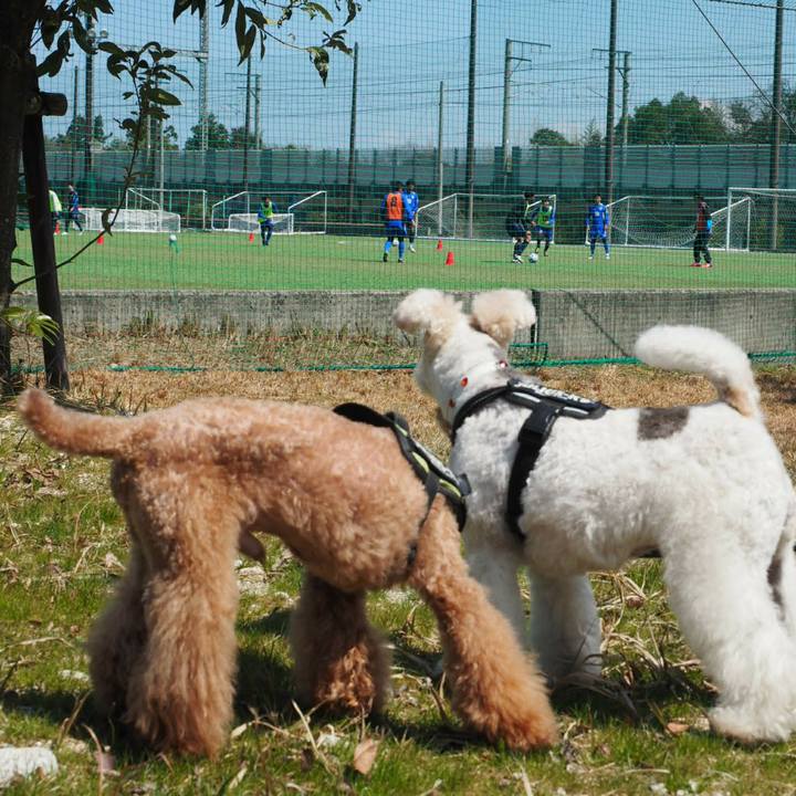 6fecbe0c 9762 4c31 94cd 626d4313a725