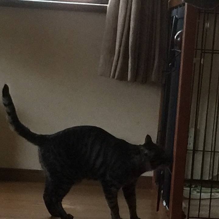 6fecdbdb 74eb 4ca9 b9da 467ebba04ad6