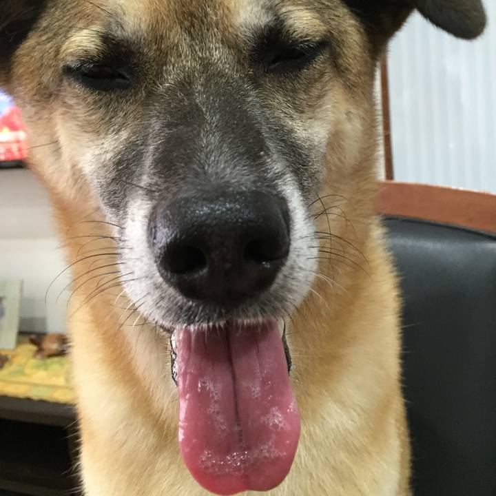 6fed072d b4a2 492a a2f6 92d549dca801